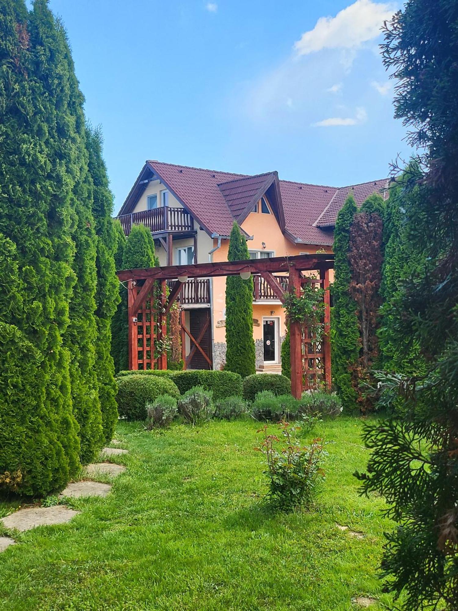 Pensiunea Mountain King Sâmbăta de Sus Exterior photo