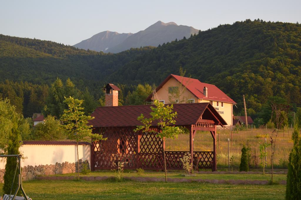 Pensiunea Mountain King Sâmbăta de Sus Exterior photo