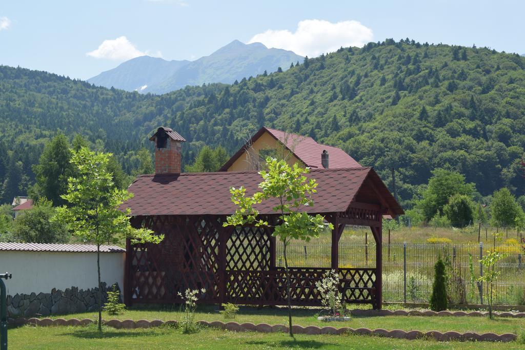 Pensiunea Mountain King Sâmbăta de Sus Exterior photo