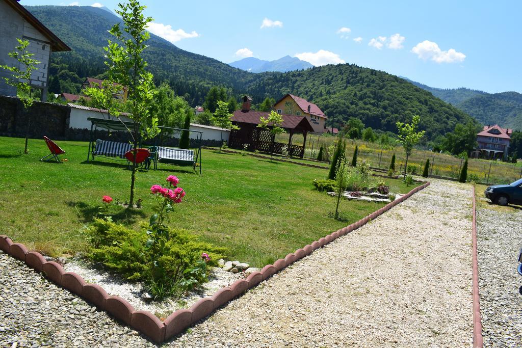 Pensiunea Mountain King Sâmbăta de Sus Exterior photo