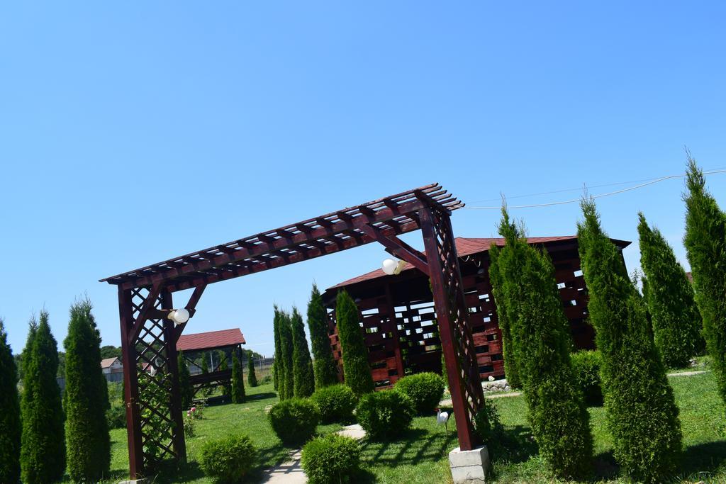 Pensiunea Mountain King Sâmbăta de Sus Exterior photo