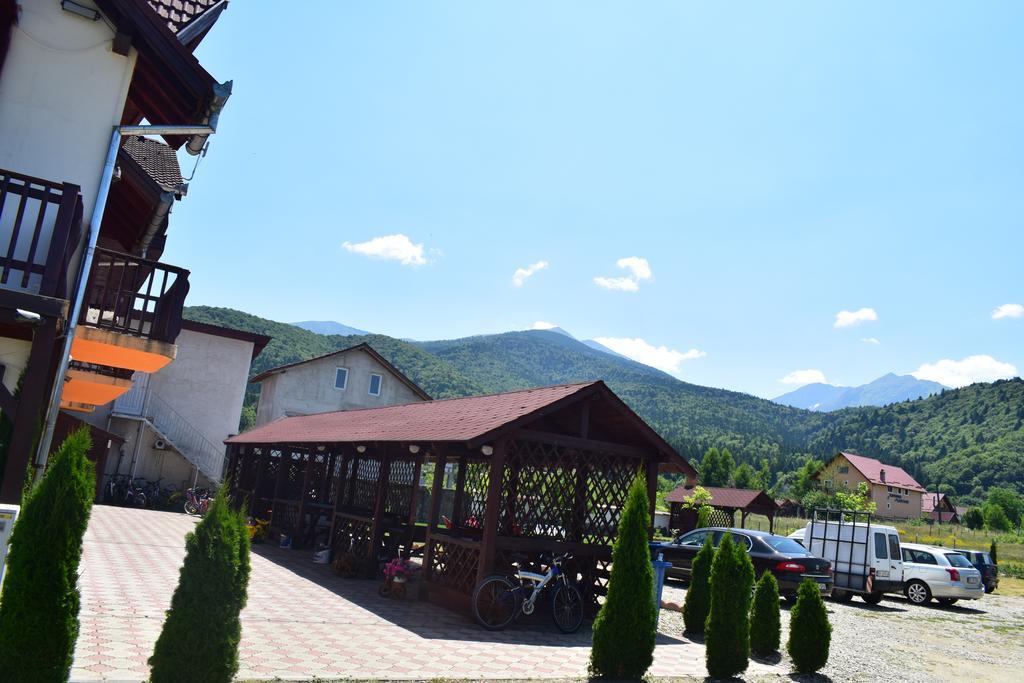 Pensiunea Mountain King Sâmbăta de Sus Exterior photo