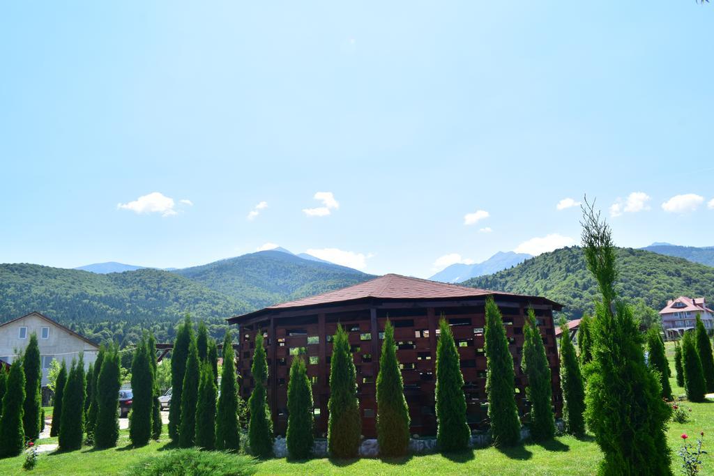 Pensiunea Mountain King Sâmbăta de Sus Exterior photo