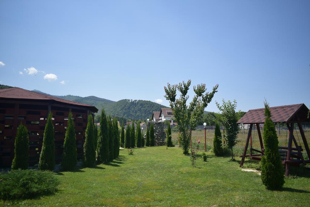 Pensiunea Mountain King Sâmbăta de Sus Exterior photo