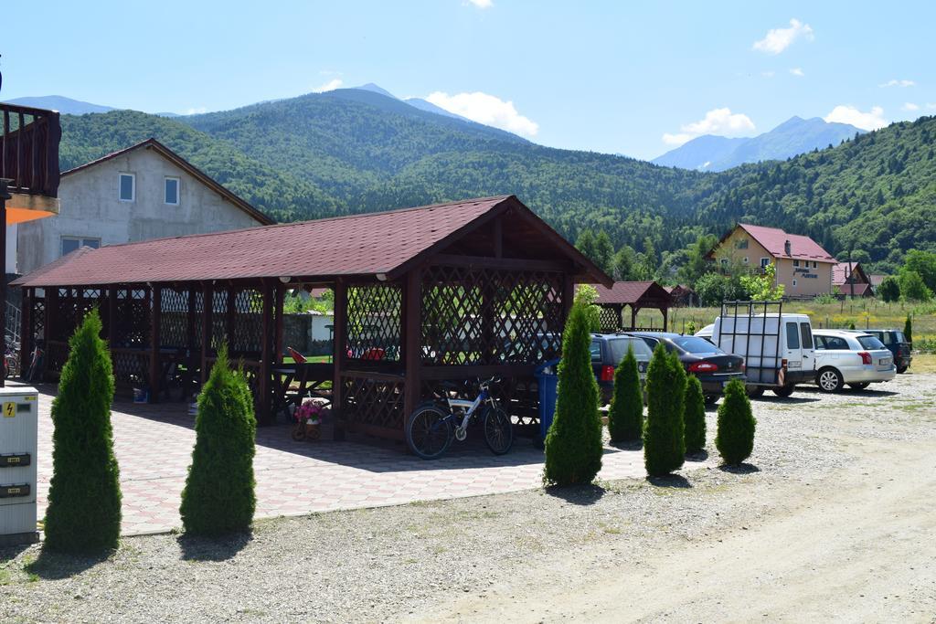 Pensiunea Mountain King Sâmbăta de Sus Exterior photo