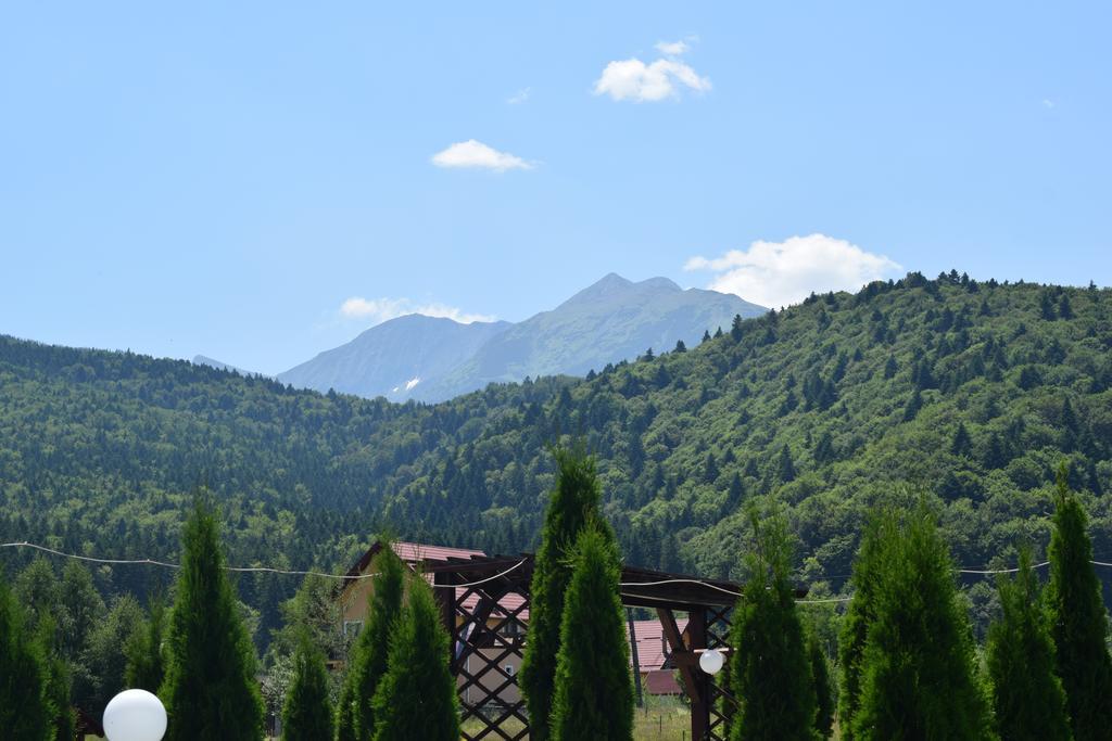 Pensiunea Mountain King Sâmbăta de Sus Exterior photo
