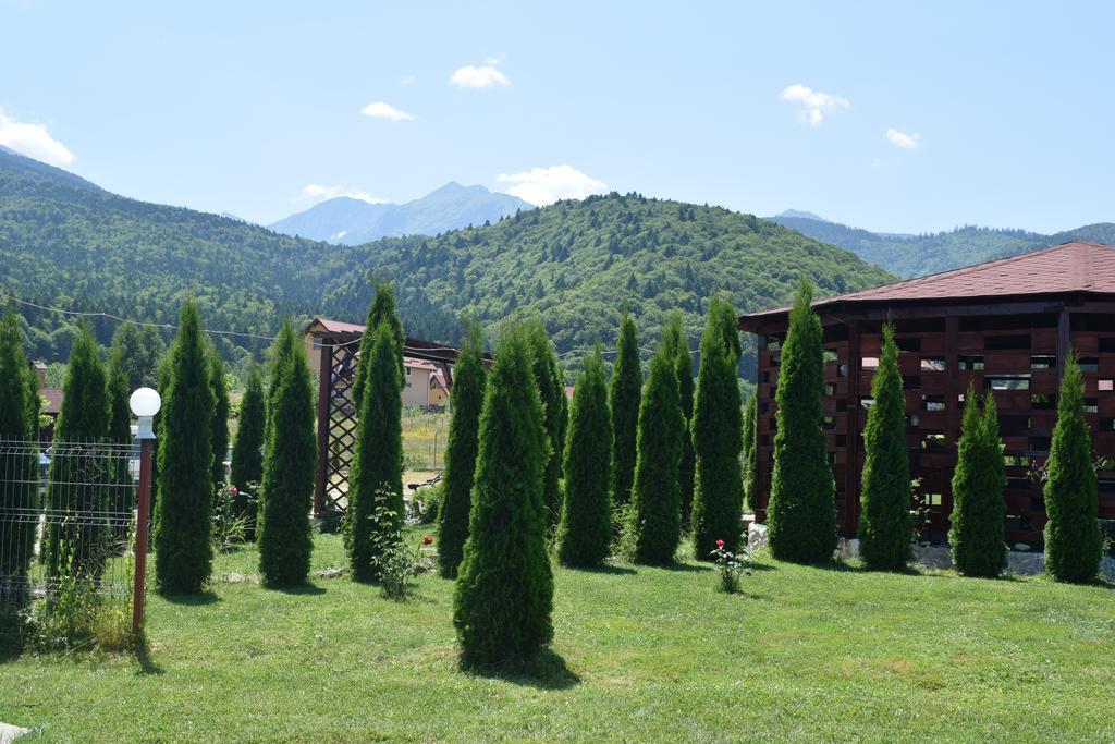 Pensiunea Mountain King Sâmbăta de Sus Exterior photo
