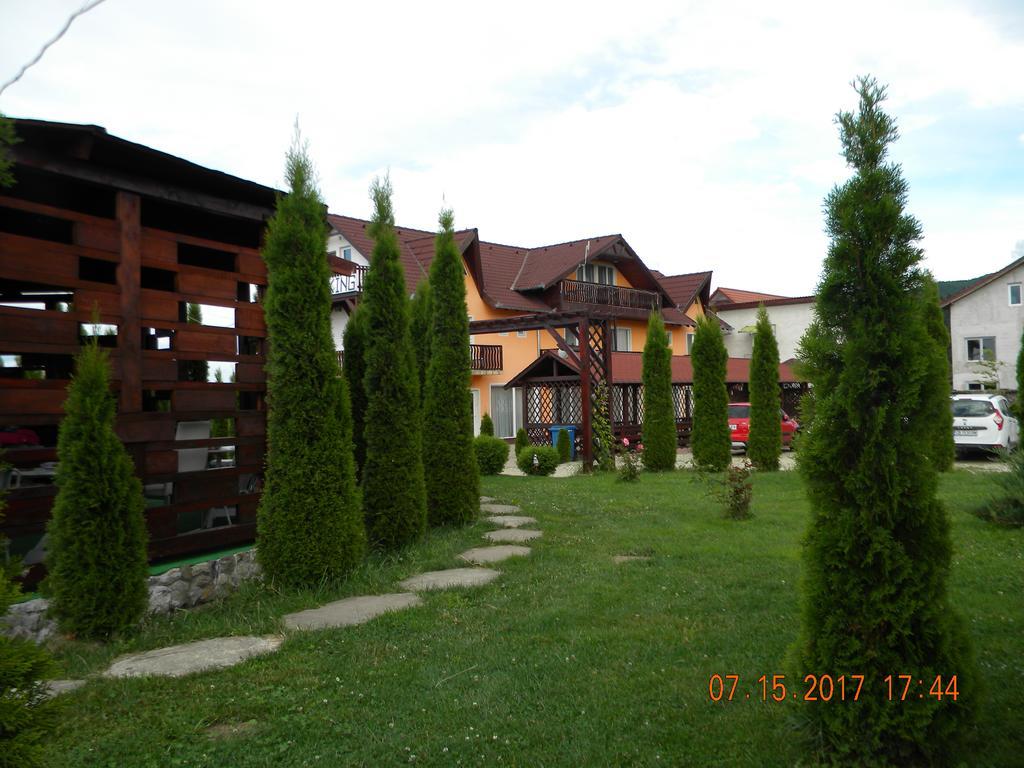 Pensiunea Mountain King Sâmbăta de Sus Exterior photo