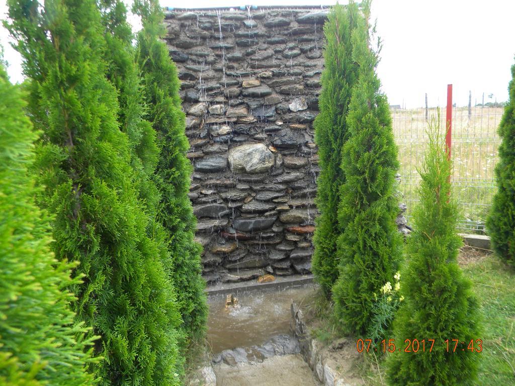 Pensiunea Mountain King Sâmbăta de Sus Exterior photo