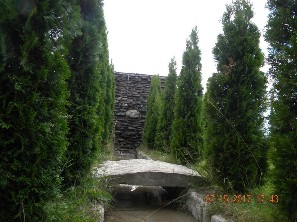 Pensiunea Mountain King Sâmbăta de Sus Exterior photo