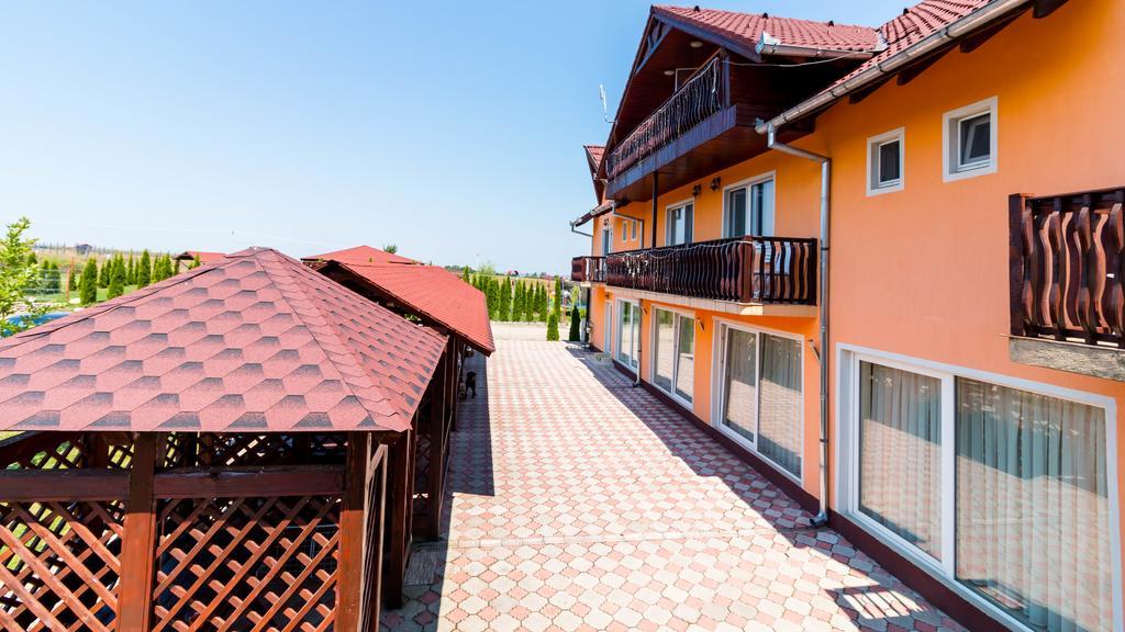 Pensiunea Mountain King Sâmbăta de Sus Exterior photo