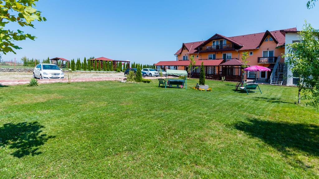 Pensiunea Mountain King Sâmbăta de Sus Exterior photo